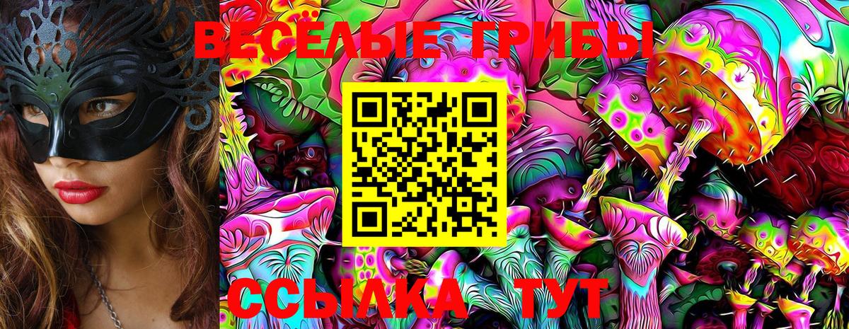 Галлюциногенные грибы Psilocybine cubensis  Галлюциногенные грибы MAGIC MUSHROOMS  Джанкой  Вход с VPN 